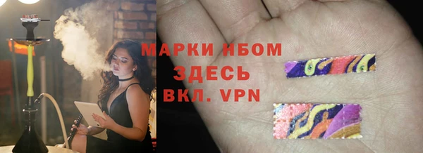 крисы Надым