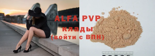 стафф Михайловск