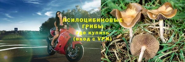 крисы Надым