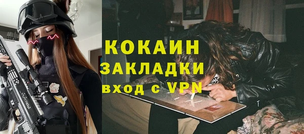 крисы Надым