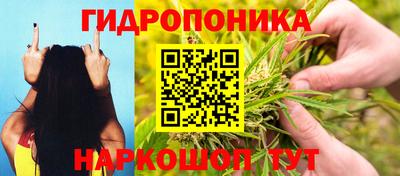 шишки Бугуруслан