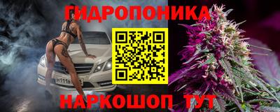 гашик Бузулук