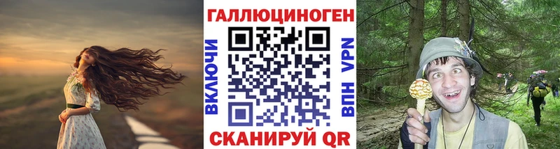 купить  сайты  Клин  Псилоцибиновые грибы ЛСД 