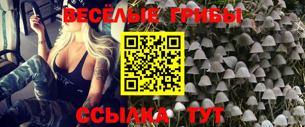 Галлюциногенные грибы ЛСД Клин
