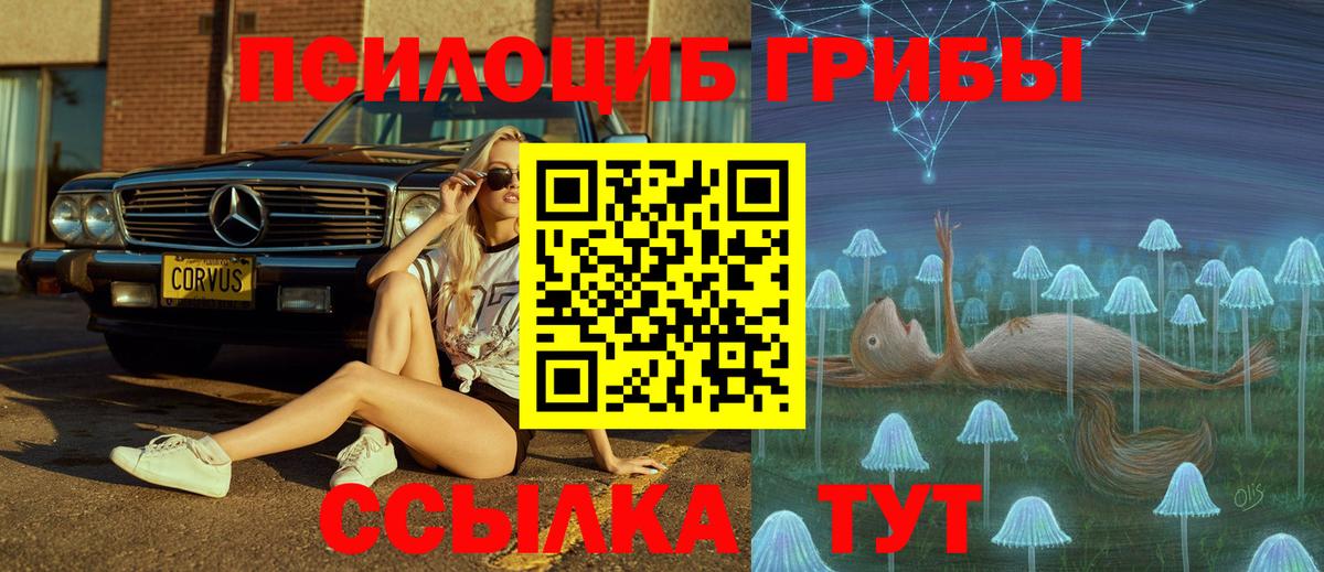 Галлюциногенные грибы ЛСД  Клин  Псилоцибиновые грибы GOLDEN TEACHER 